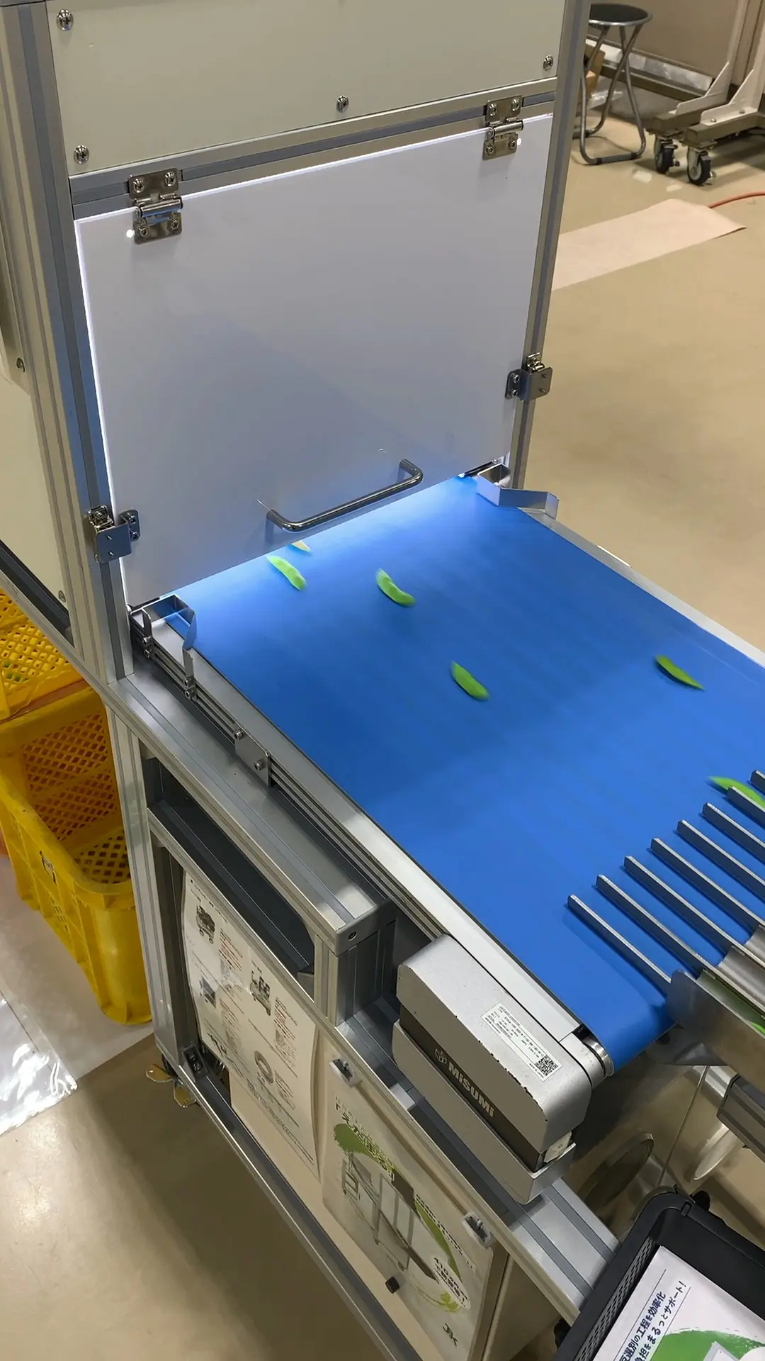 枝豆色彩選別装置 EDM-1 検査前 ベルトコンベア部分